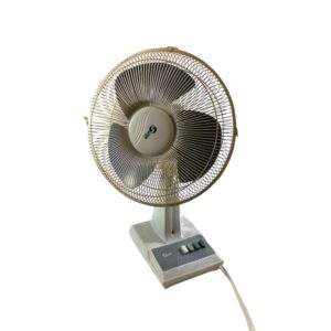Oscillating Fan