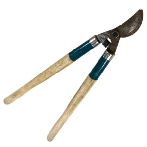 Pruner
